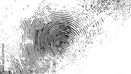 Vector black fingerprint on white Transparent background. Detailed fingerprint on grunge background symbolizing identity verification	
