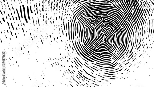 Vector black fingerprint on white Transparent background. Detailed fingerprint on grunge background symbolizing identity verification	
