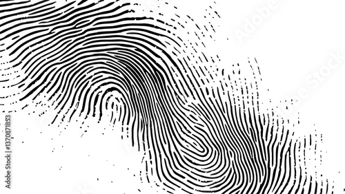 Vector black fingerprint on white Transparent background. Detailed fingerprint on grunge background symbolizing identity verification	
