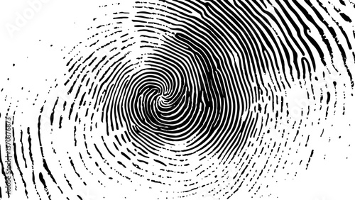 Vector black fingerprint on white Transparent background. Detailed fingerprint on grunge background symbolizing identity verification	
