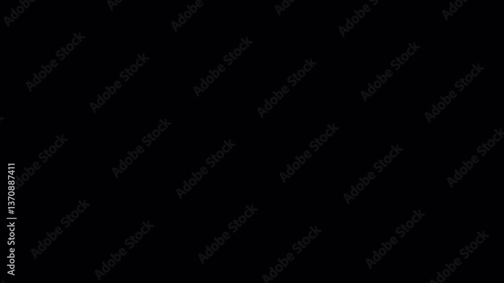 summer themed transition animation with transparent background