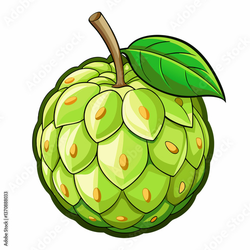 custard apple fruits vector art-illusion 