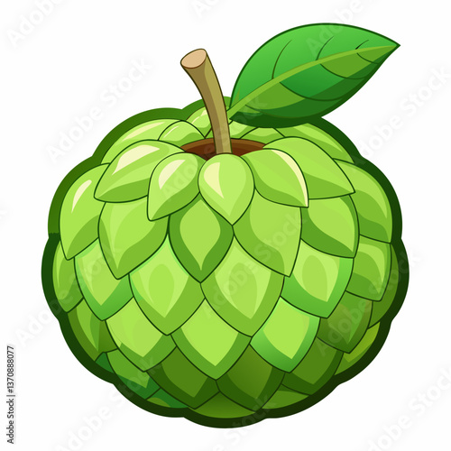 custard apple fruits vector art-illusion 