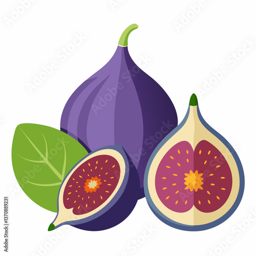 Fig Fruits vector art illustration