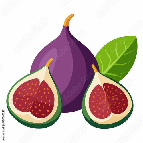 Fig Fruits vector art illustration