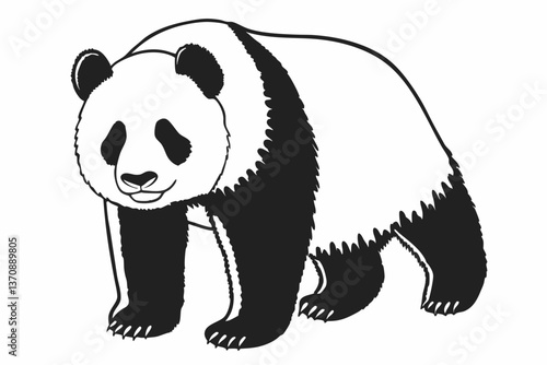vector illustration of a panda