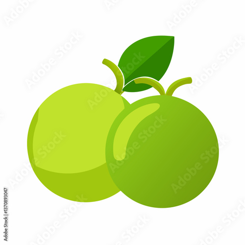 Lime Fruits vector art illustration