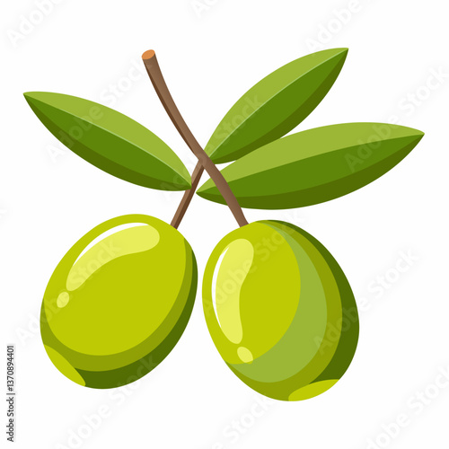 Olive Fruits vector art illustration 