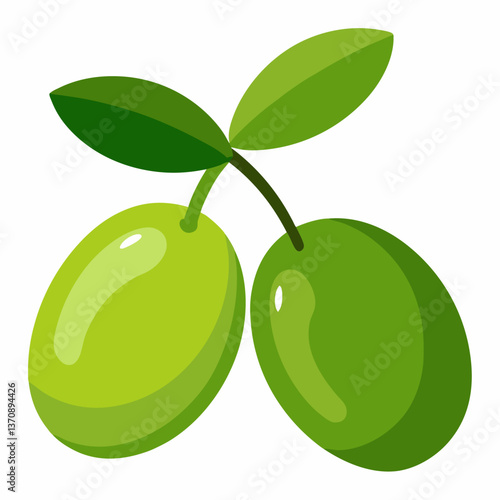 Olive Fruits vector art illustration 