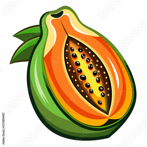 papaya Fruits vector art illustration  vector art illustration 