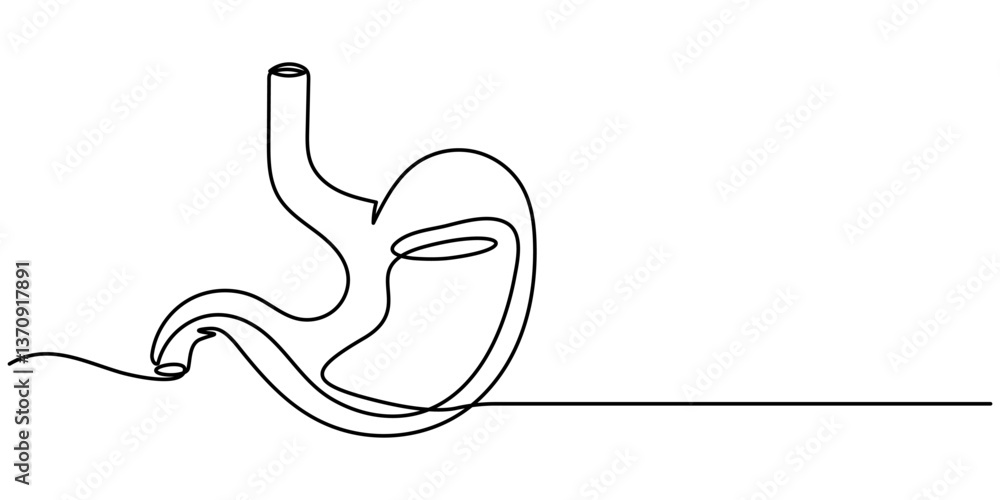One continuous line drawing of human stomach organs. single line of stomach drawing. illustration of stomachache concept. editable outline, Trendy minimalistic style. Pro Vector illustration. One continuous line drawing of human stomach organs. single line of stomach drawing. illustration of stomachache concept. editable outline, Trendy minimalistic style. Pro Vector illustration.