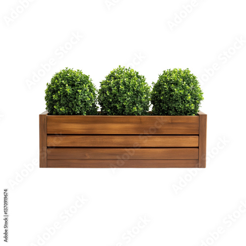 A wooden planter box holds three lush, spherical topiary shrubs, adding a touch of greenery to a well-lit interior space.