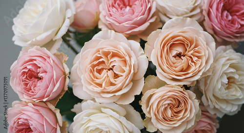 Wallpaper Mural Beautiful Bouquet of Pastel Pink and Peach Roses Close Up View Torontodigital.ca