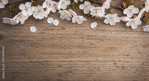 Wallpaper Mural Spring Blossom Branches on Rustic Wooden Background Floral Border Springtime Nature Torontodigital.ca