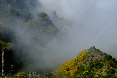 fog in the mountains