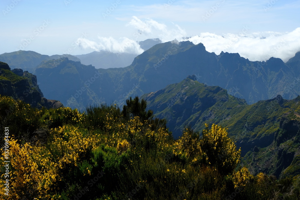Fototapeta premium mountains in the mountains