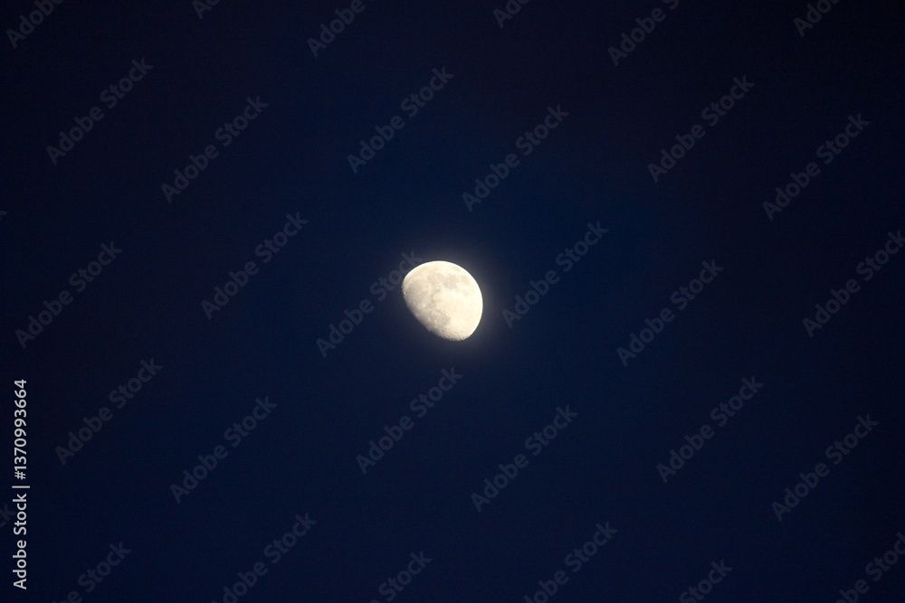 Fototapeta premium Mond