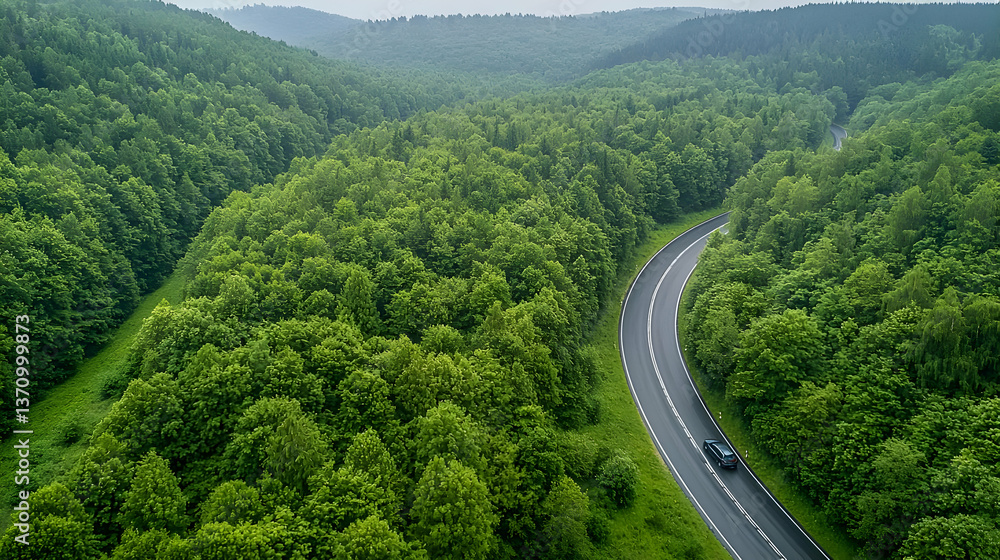 Aerial View Of Winding Road Through Lush Green Forest Aerial View Of Winding Road Through Lush Green Forest