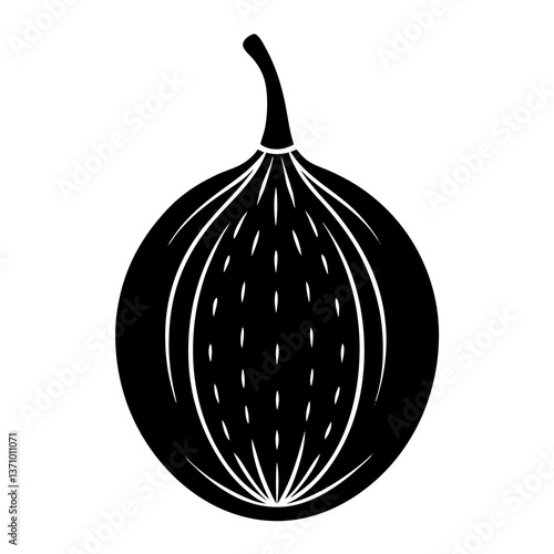 onion on white background