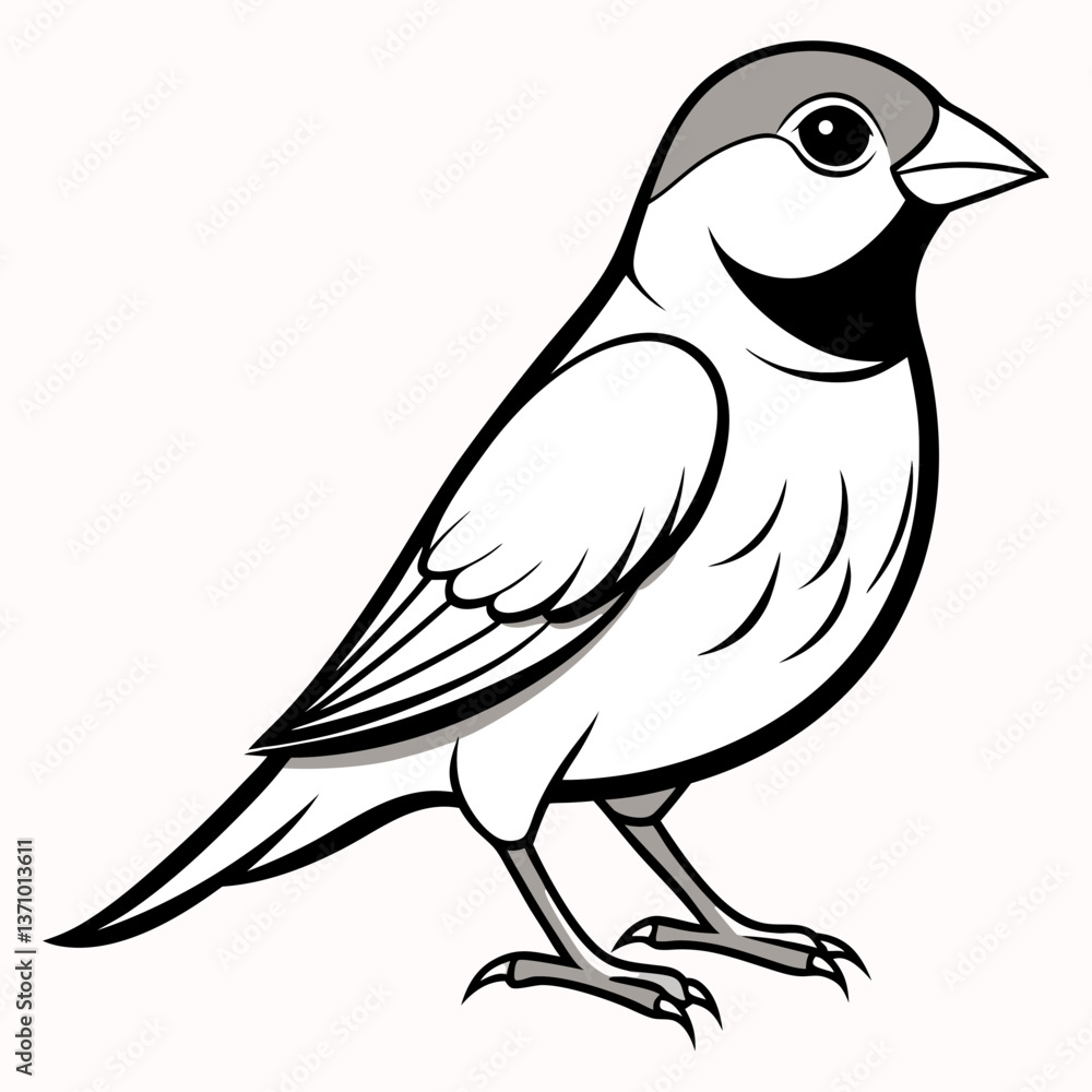 bird on a branch bird on a branch