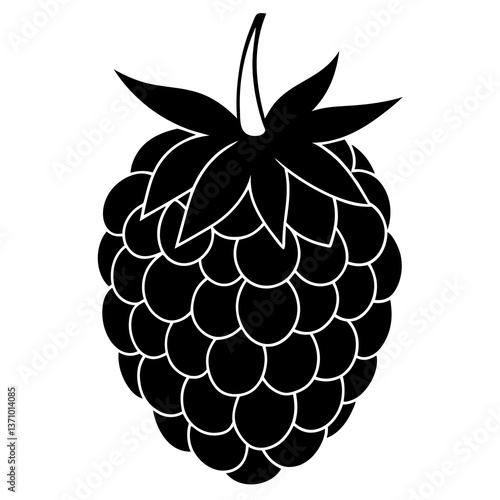 vector illustration of ripe raspberry