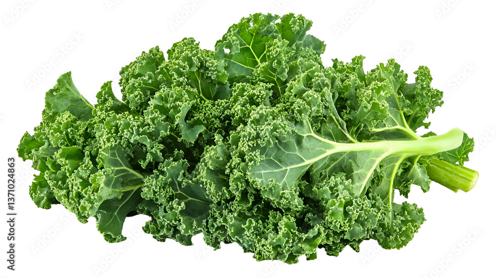 Fresh Green Kale Bunch Healthy Eating Superfood, Fresh Green Kale Bunch Healthy Eating Superfood,