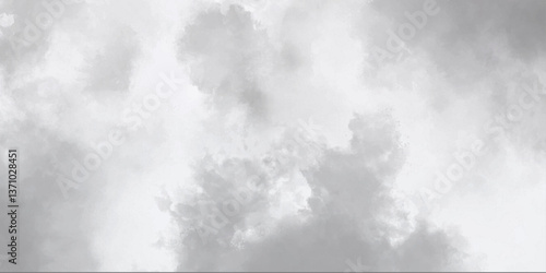Smoke Gray background Images. Abstract painting cloudy and foggy scene background atmosphere. Black and White Abstract Texture Smoke and Grunge Elements Merge in Artistic Backgrounds. Pro Vector