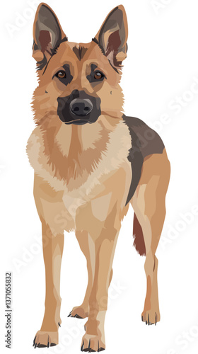 German Shepherd Dog Vector Illustration Isolated on White Background for Design Projects