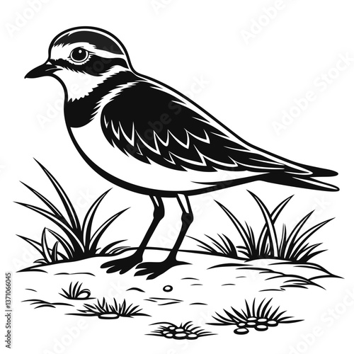 Piping plover black silhouette icon vector