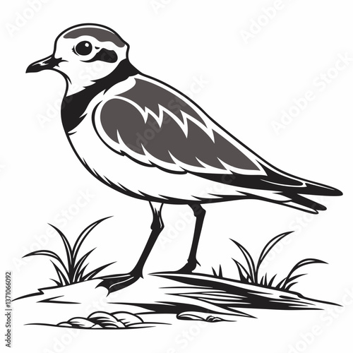 Tableau sur toile Piping plover black silhouette icon vector