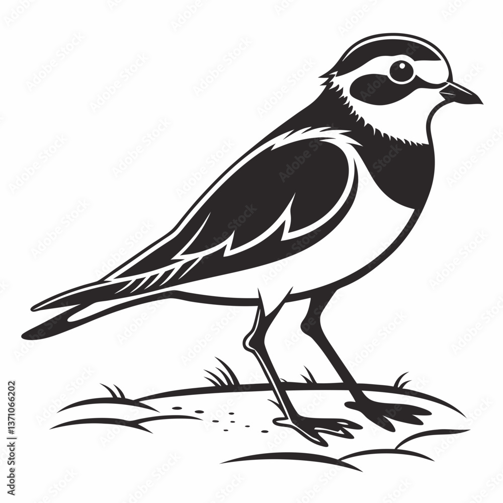 Fototapeta premium Piping plover black silhouette icon vector