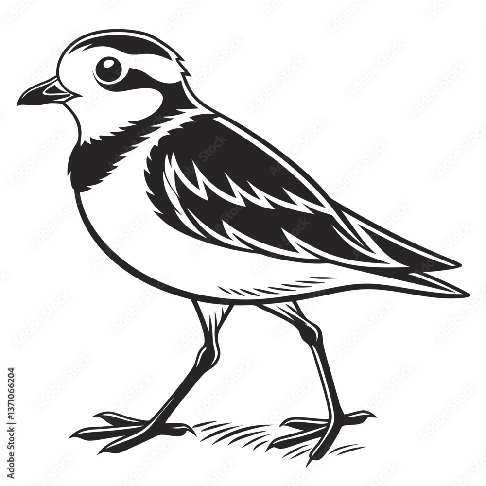Fototapeta premium Piping plover black silhouette icon vector
