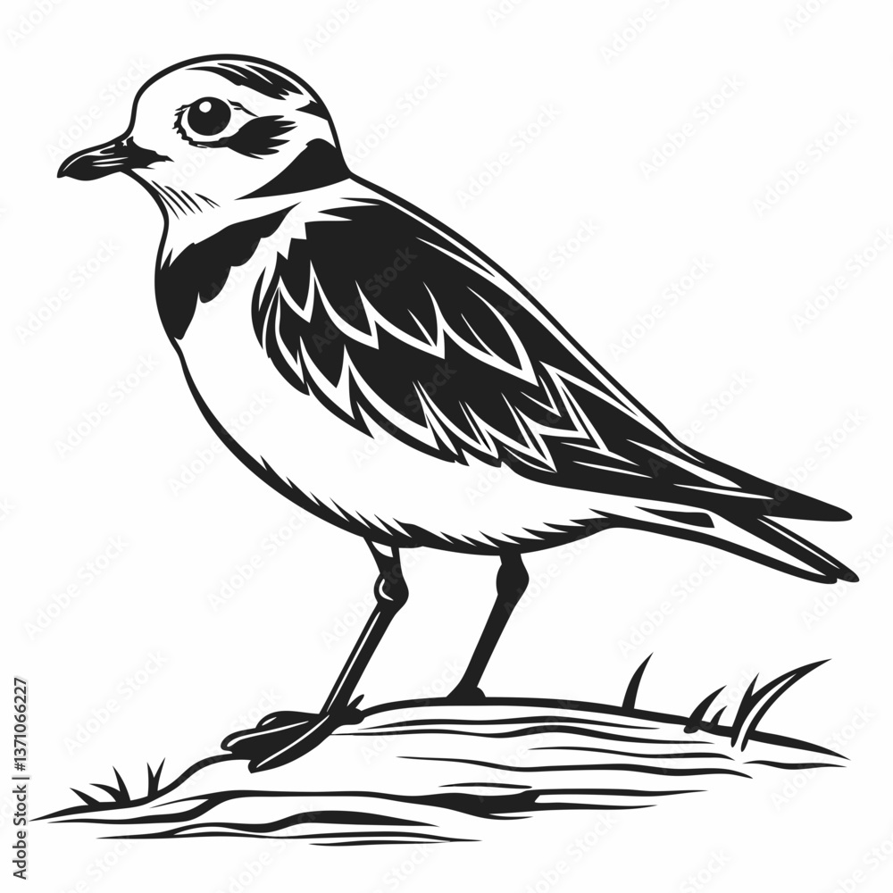 Fototapeta premium Piping plover black silhouette icon vector