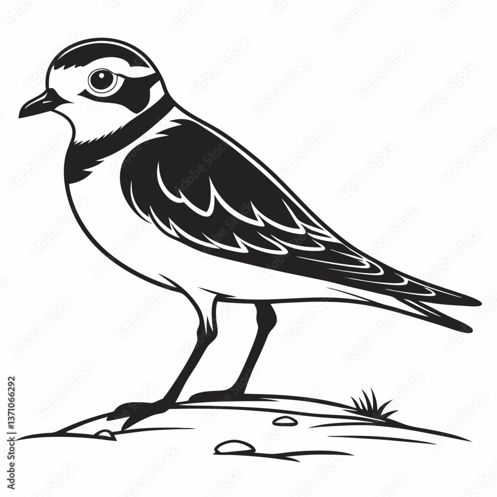 Fototapeta premium Piping plover black silhouette icon vector