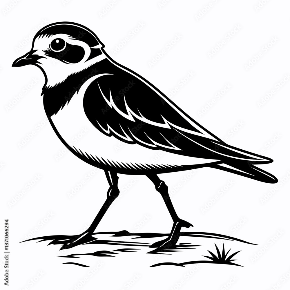 Obraz premium Piping plover black silhouette icon vector