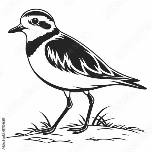 Piping plover black silhouette icon vector