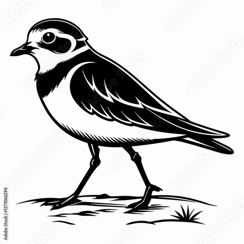 Piping plover black silhouette icon vector