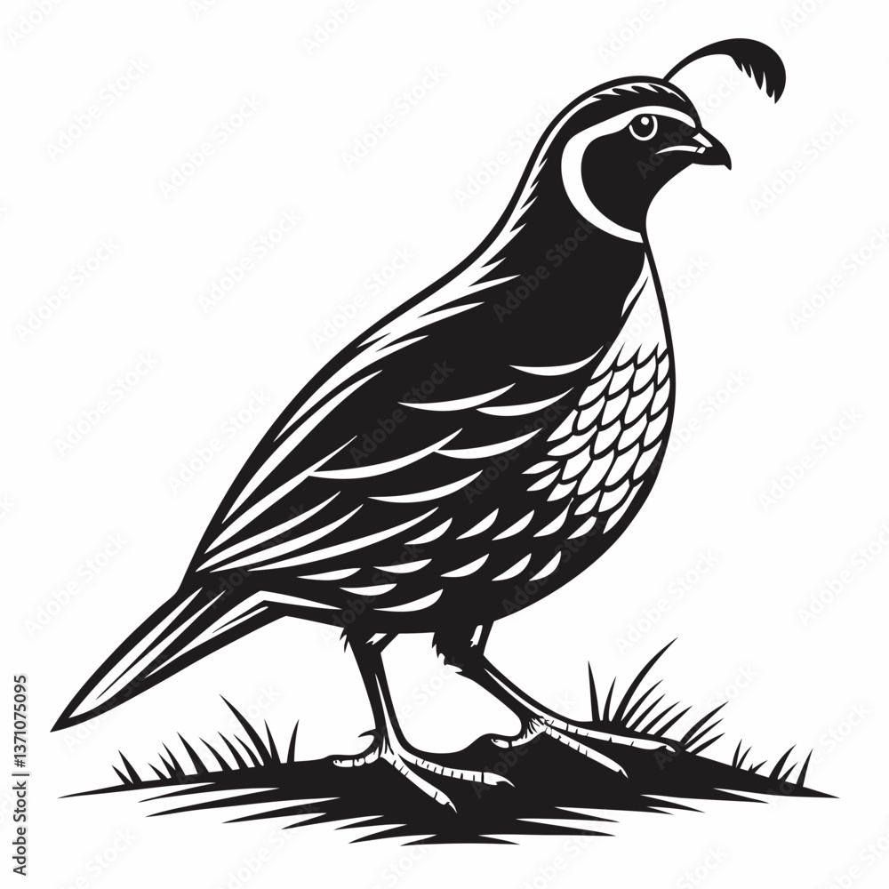 Fototapeta premium quail black silhouette icon vector
