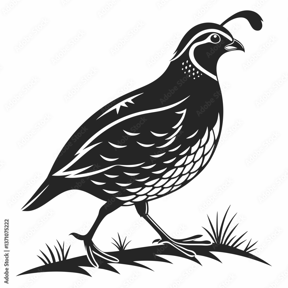 Fototapeta premium quail black silhouette icon vector