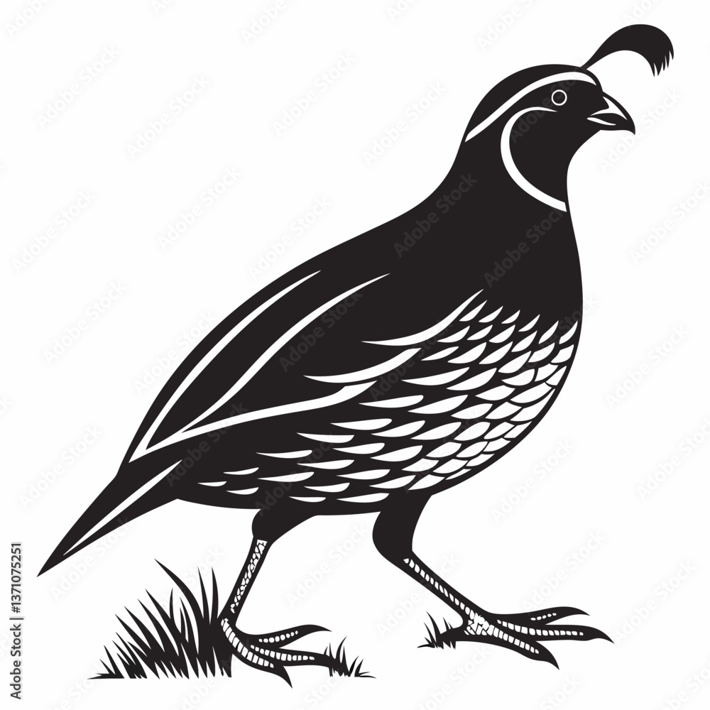 Fototapeta premium quail black silhouette icon vector