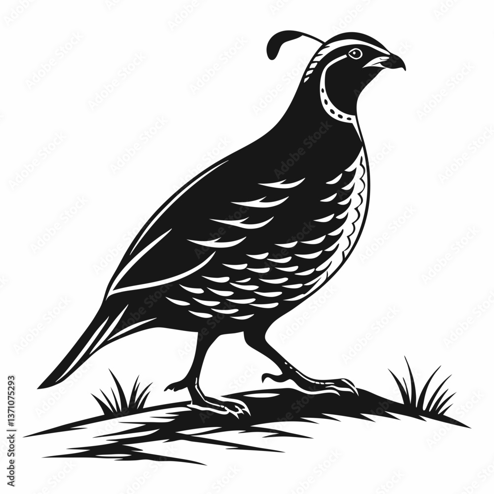 Fototapeta premium quail black silhouette icon vector