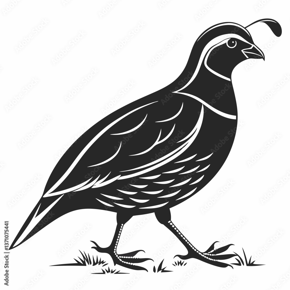 Fototapeta premium quail black silhouette icon vector