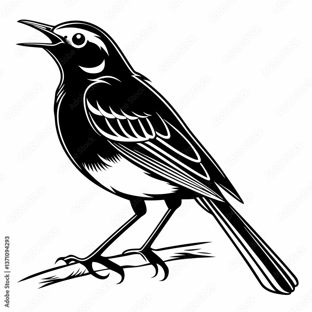 Naklejka premium Robin black silhouette icon vector