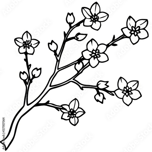 Cherry Blossom Branch Line Art