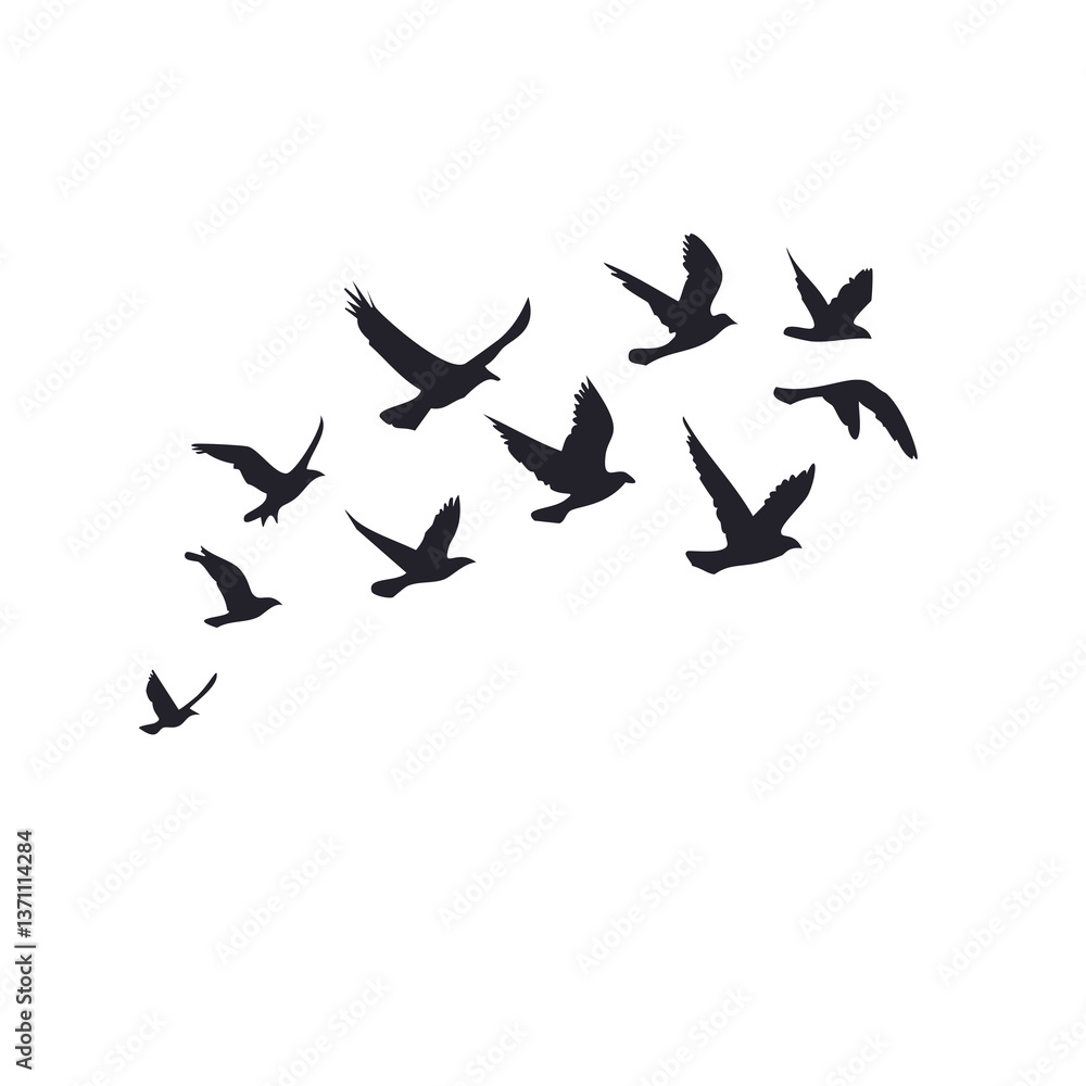 birds in flight birds in flight