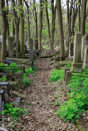 Obraz na płótnie Jewish Cemetery, on Okopowa St. Largest Jewish cemeteries in the world.Founded 1806. Mass graves of victims of the Warsaw Ghetto. World War II, holocaust. Editorial Use Only. w salonie