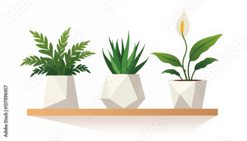 Minimalist planters with houseplants on wooden shelf, modern design
