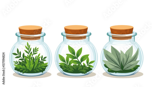 Fresh herbs in glass jars on white background, culinary inspiration