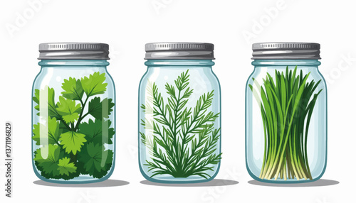 Trio of glass jars showcasing fresh herbs on white surface, culinary freshness