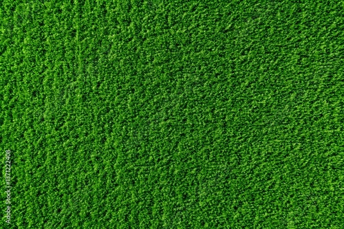 Vibrant green grass texture, lush artificial turf background, seamless synthetic lawn surface for sports field or garden landscaping, top view of dense emerald grass carpet for outdoor design